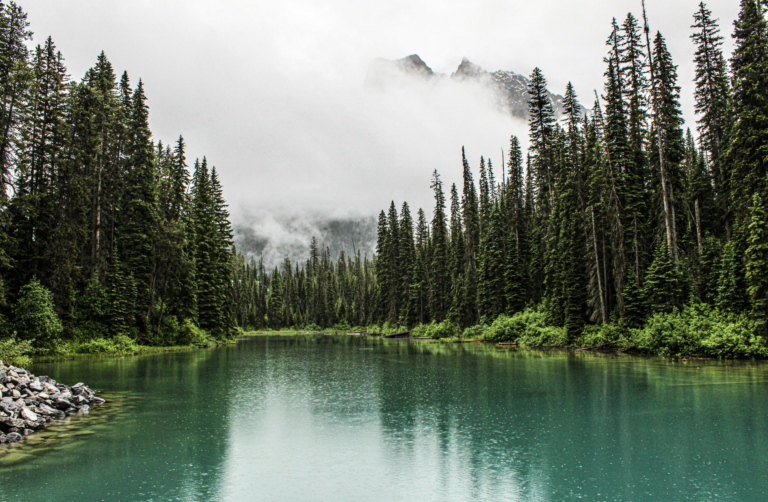 Don’t Ever, Ever Call God a Liar!