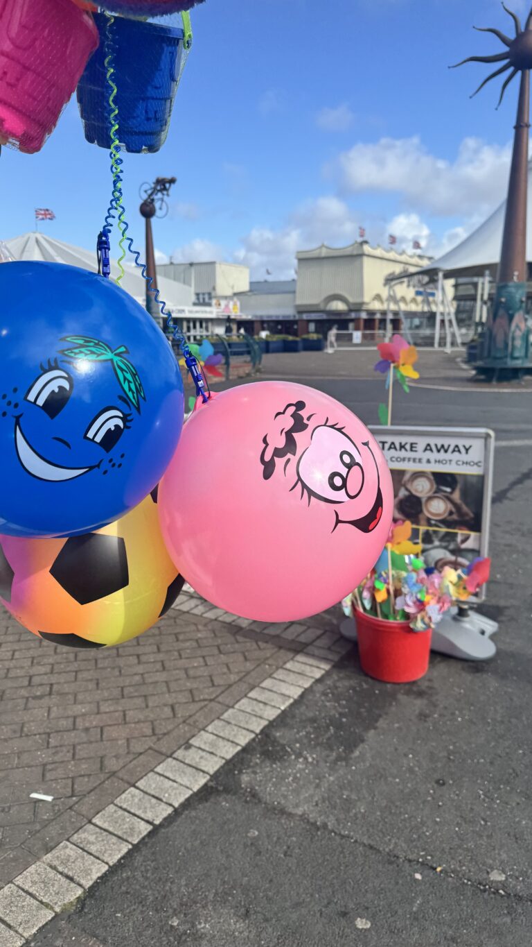 the Photo Diary begins