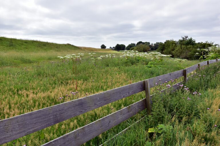 Presence, Rest, Revival.